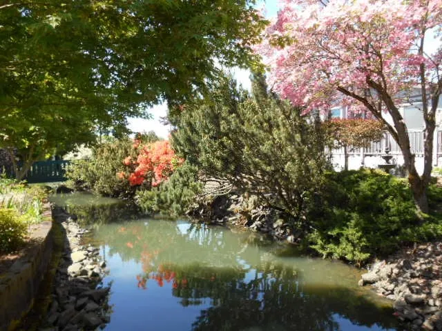 Professional residential landscaping experts serving Eugene, OR - Tender Earth Yard Care