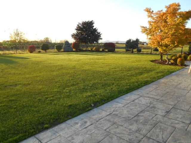 Expert landscape design for homes in Eugene, OR by Tender Earth Yard Care