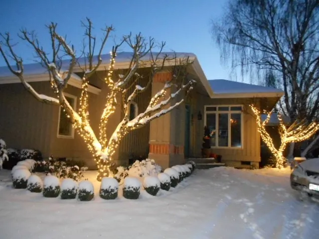 Reliable yard maintenance for homes in Eugene, OR by Tender Earth Yard Care