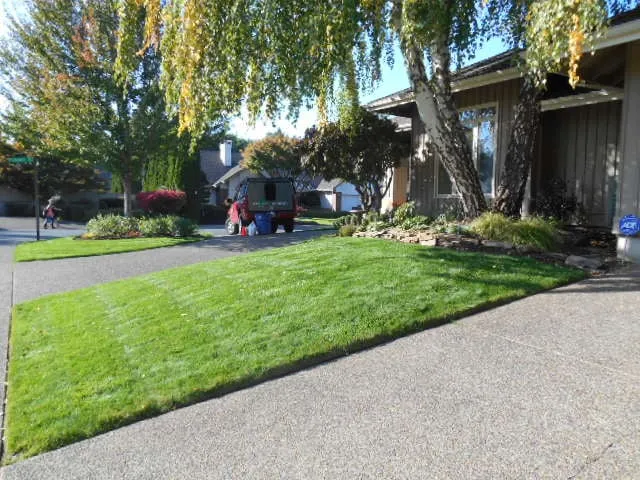 Professional yard maintenance for residential properties in Eugene, OR by Tender Earth Yard Care