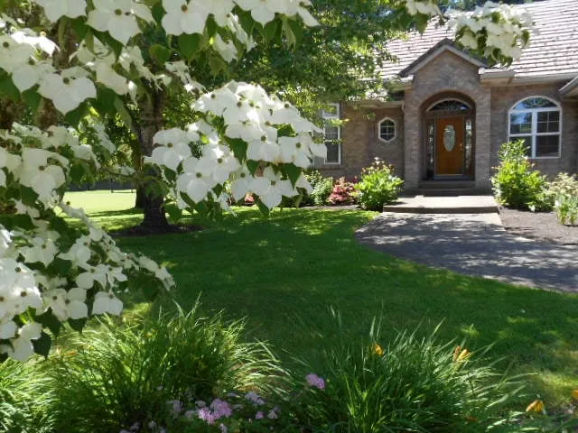 Top-rated yard maintenance for outdoor upgrades across Eugene, OR - Tender Earth Yard Care