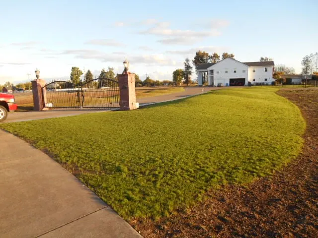 Affordable garden landscaping experts serving Eugene, OR - Tender Earth Yard Care