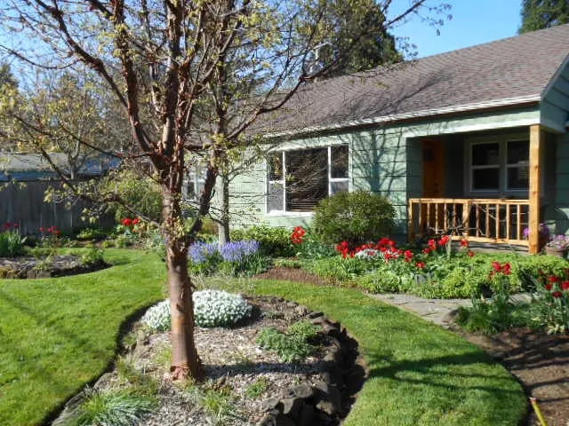 Top-rated residential landscaping experts serving Eugene, OR - Tender Earth Yard Care