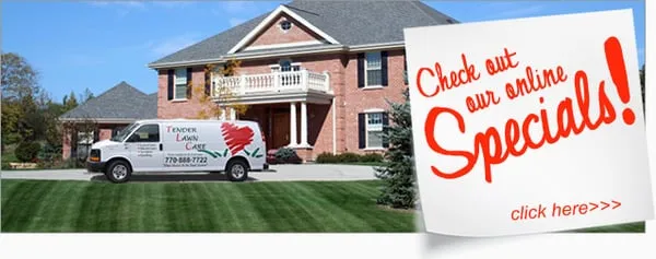 Tender Lawn Care Logo