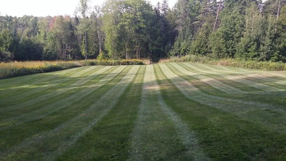 Custom lawn care service in Brewer, ME - Tender Lawn Care
