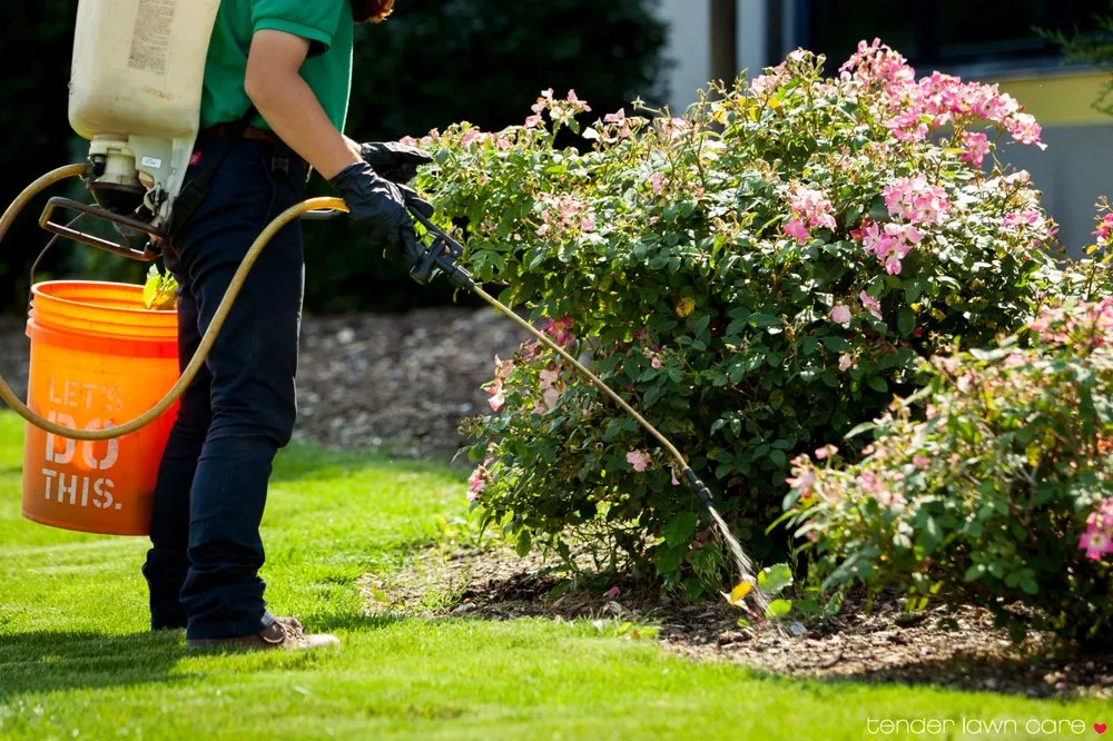 Local lawn mowing service experts serving Grand Rapids, MI - Tender Lawn Care
