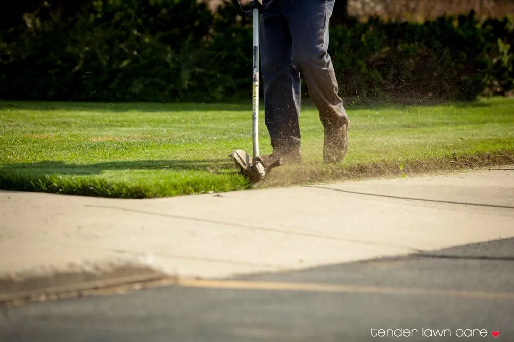 Reliable yard cleanup service for beautiful yards across Grand Rapids, MI - Tender Lawn Care