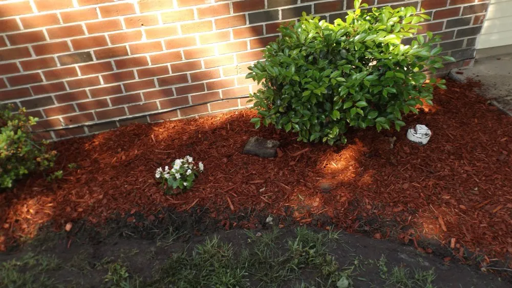 Expert landscaping services experts serving Virginia Beach, VA - Tender Lawn Care