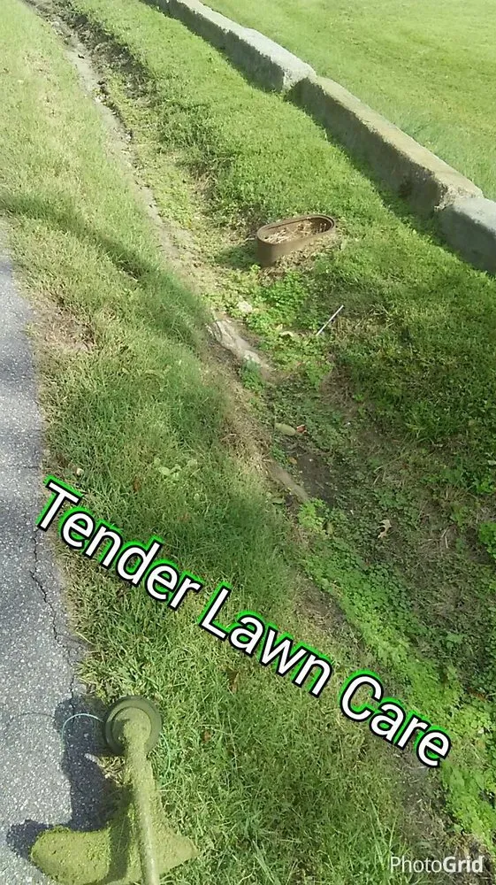 Top-rated yard maintenance for outdoor upgrades in Virginia Beach, VA by Tender Lawn Care