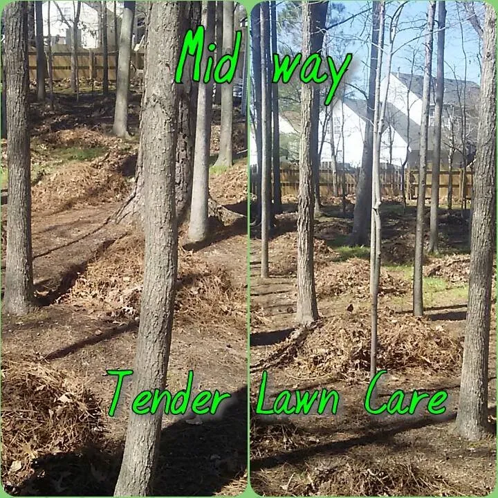 Trusted residential landscaping in Virginia Beach, VA by Tender Lawn Care