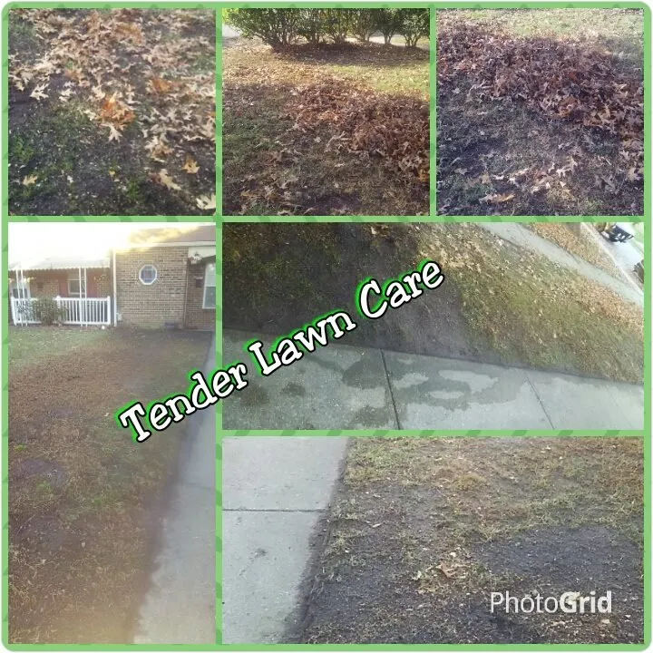 Local garden landscaping near you across Virginia Beach, VA - Tender Lawn Care