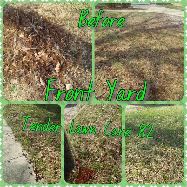 Expert landscape installation in Virginia Beach, VA - Tender Lawn Care