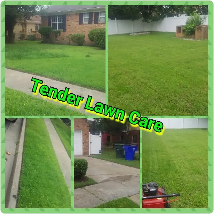 Affordable landscape design experts serving Virginia Beach, VA - Tender Lawn Care
