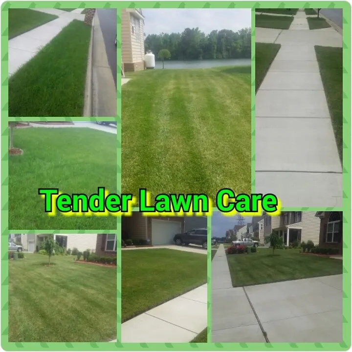 Top-rated landscape installation for residential properties across Virginia Beach, VA - Tender Lawn Care