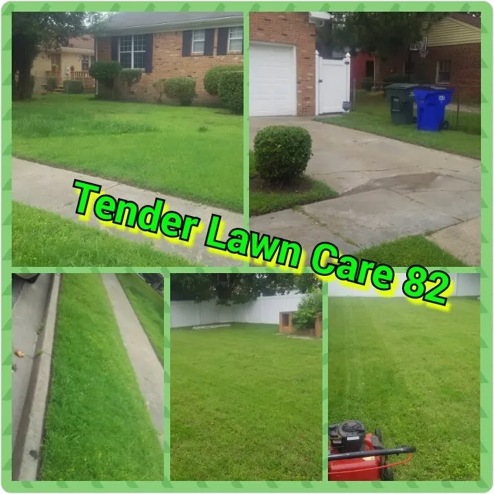 Affordable landscape design for homes in Virginia Beach, VA by Tender Lawn Care