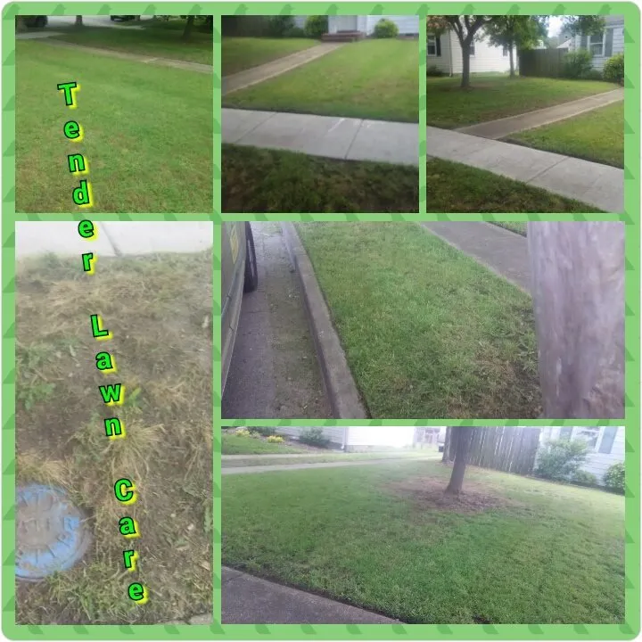 Local landscape installation near you across Virginia Beach, VA - Tender Lawn Care