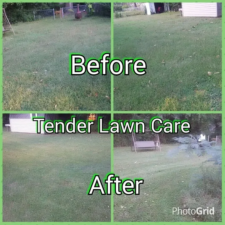 Top-rated lawn mowing service experts serving Virginia Beach, VA - Tender Lawn Care
