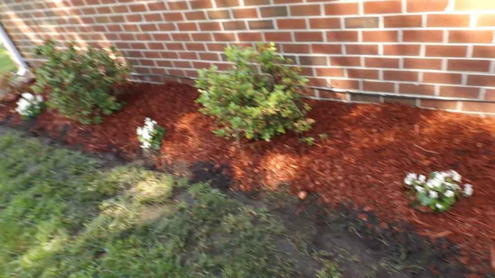 Trusted landscape design experts serving Virginia Beach, VA - Tender Lawn Care