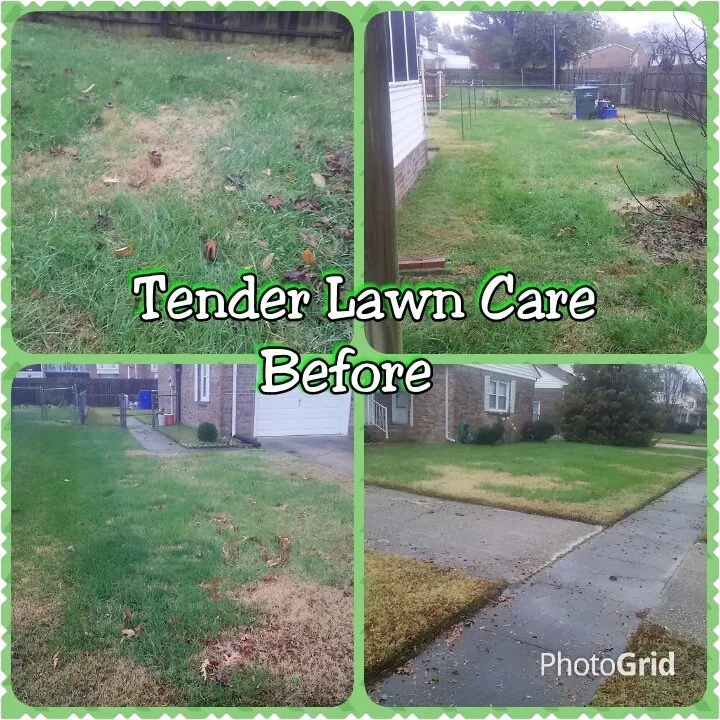 Professional lawn care service for residential properties across Virginia Beach, VA - Tender Lawn Care