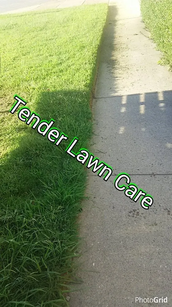Custom landscaping services in Virginia Beach, VA - Tender Lawn Care