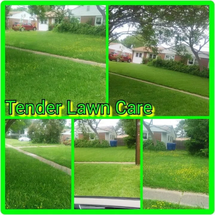 Reliable garden landscaping in Virginia Beach, VA by Tender Lawn Care