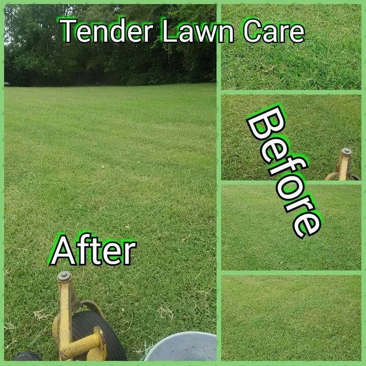 Expert yard cleanup service for residential properties across Virginia Beach, VA - Tender Lawn Care
