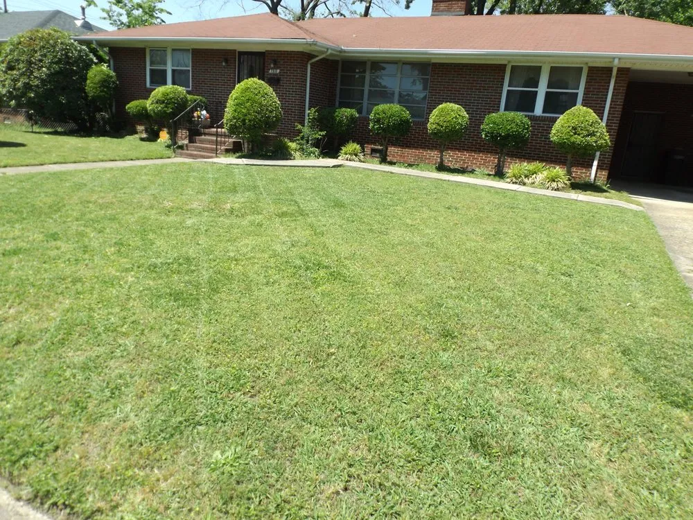 Reliable yard maintenance in Virginia Beach, VA - Tender Lawn Care