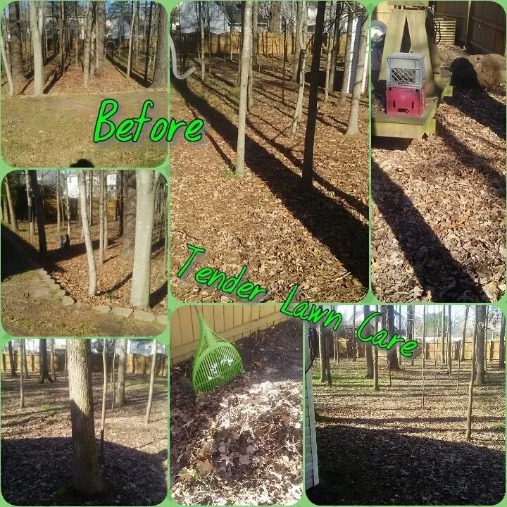 Top-rated lawn mowing service experts serving Virginia Beach, VA - Tender Lawn Care