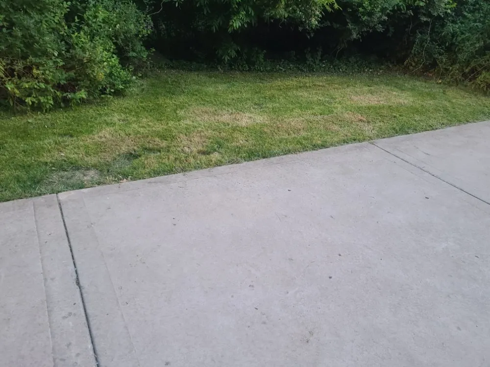 Reliable yard cleanup service near you in Pittsburgh, PA by Tender Loving Lawn Care Services