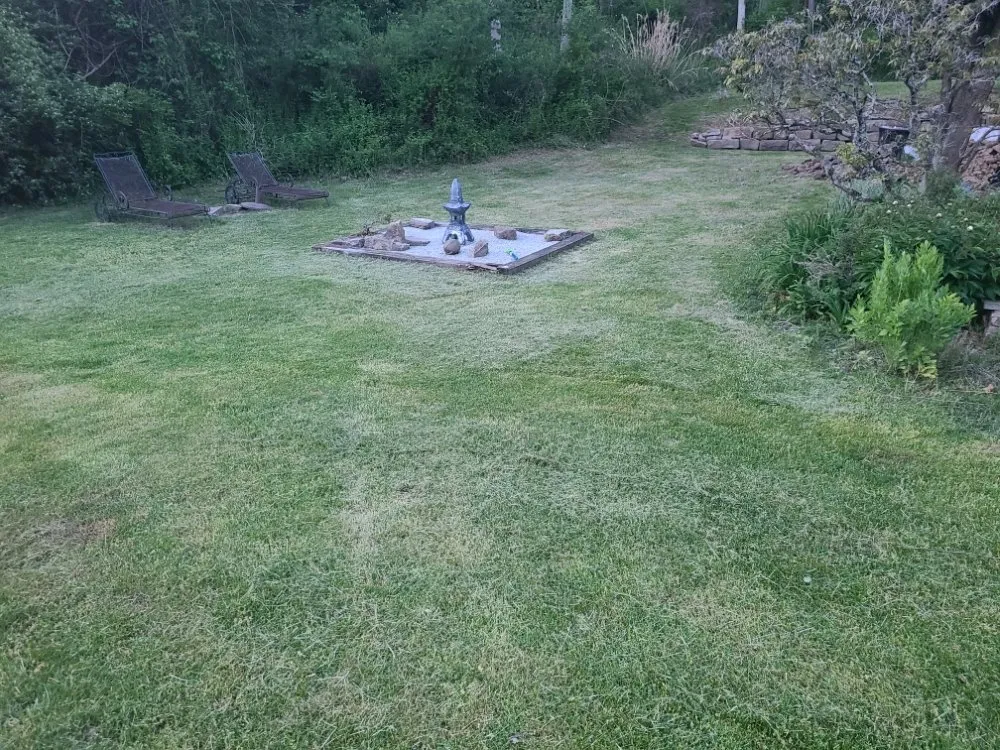 Reliable yard maintenance experts serving Pittsburgh, PA - Tender Loving Lawn Care Services