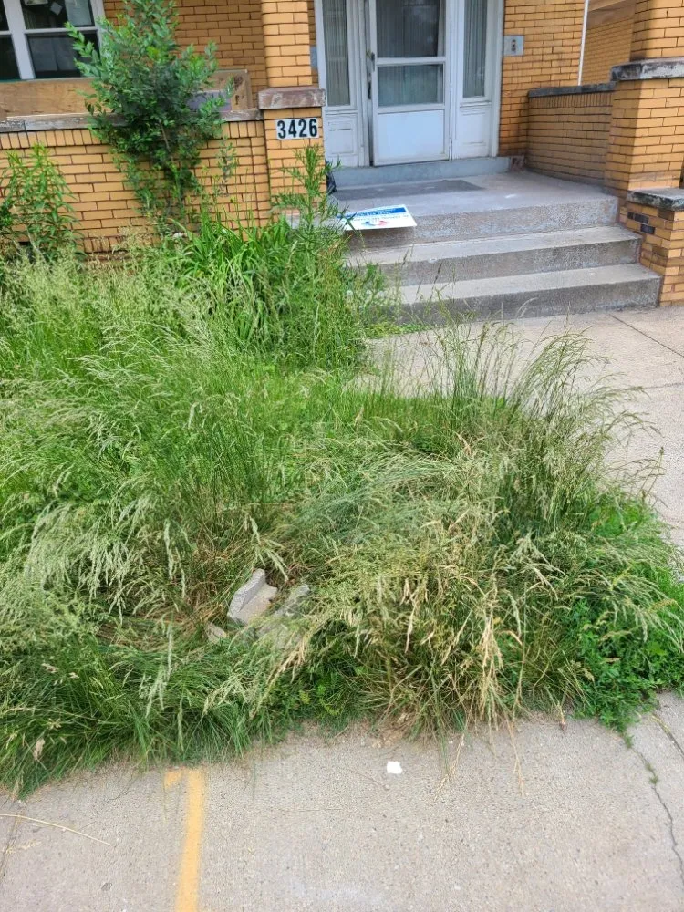 Affordable landscape installation for beautiful yards in Pittsburgh, PA by Tender Loving Lawn Care Services