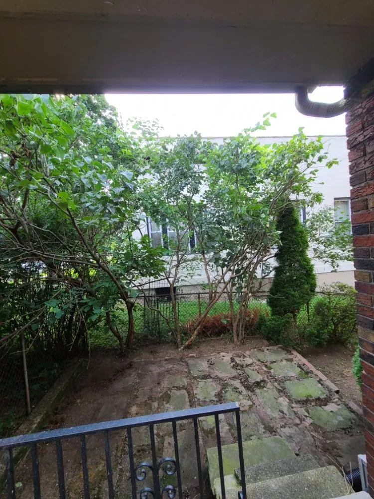 Local yard cleanup service in Pittsburgh, PA by Tender Loving Lawn Care Services