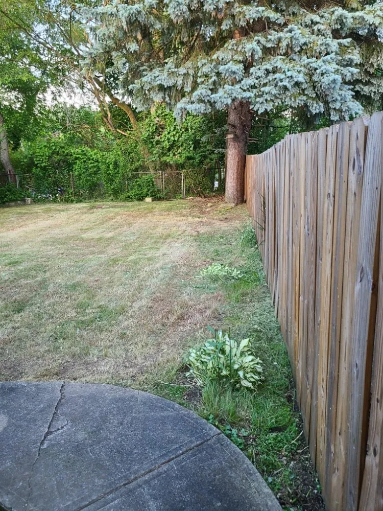 Top-rated yard maintenance for outdoor upgrades in Pittsburgh, PA by Tender Loving Lawn Care Services