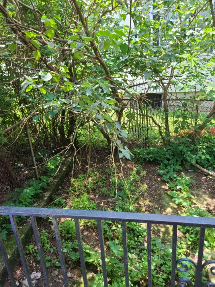 Local lawn care service for beautiful yards in Pittsburgh, PA by Tender Loving Lawn Care Services