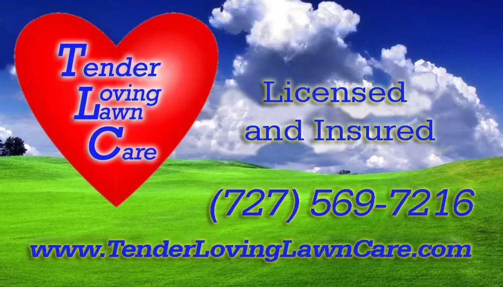 Top-rated yard maintenance in Trinity, FL - Tender Loving Lawn Care
