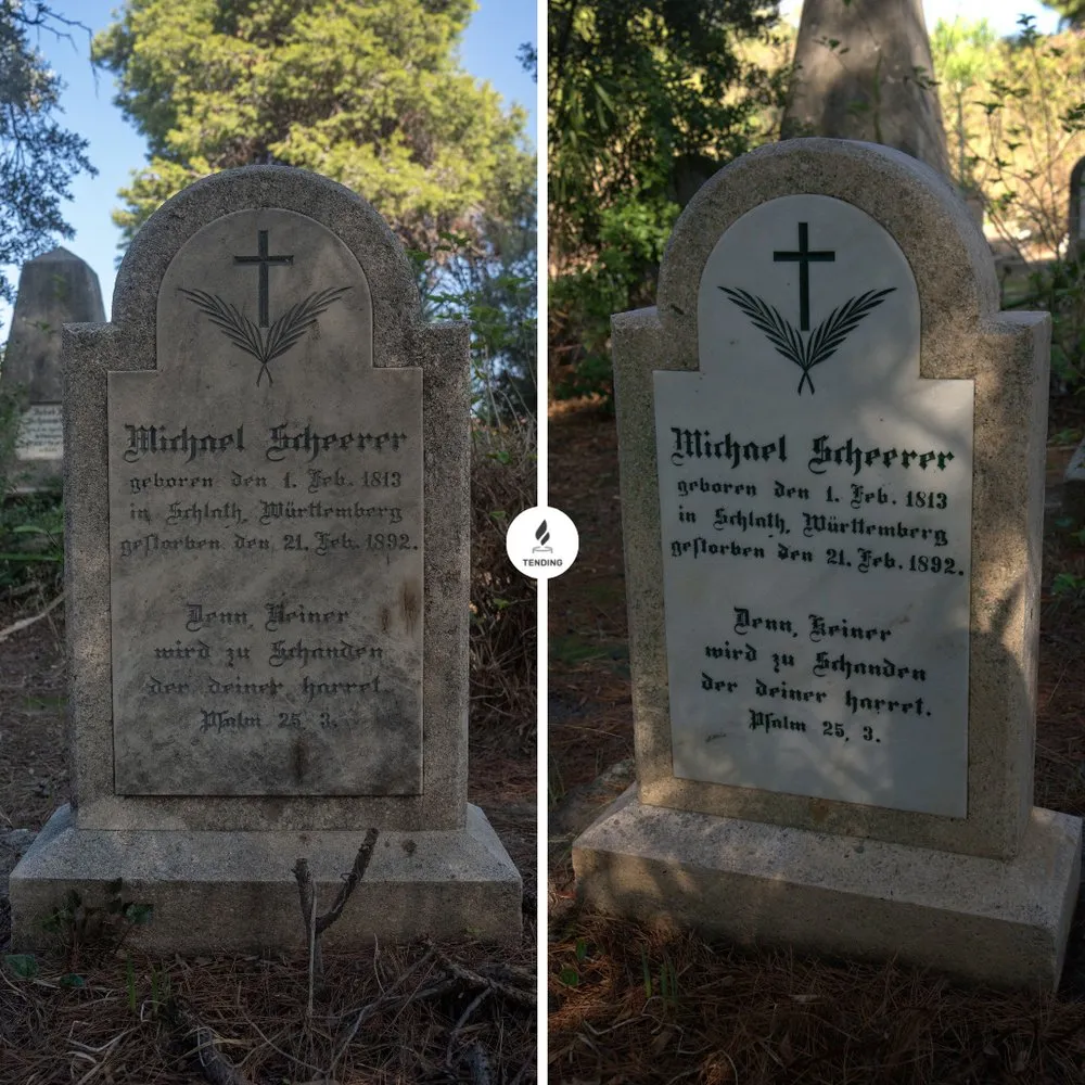 Top-rated outdoor landscaping in New York, NY by Tending