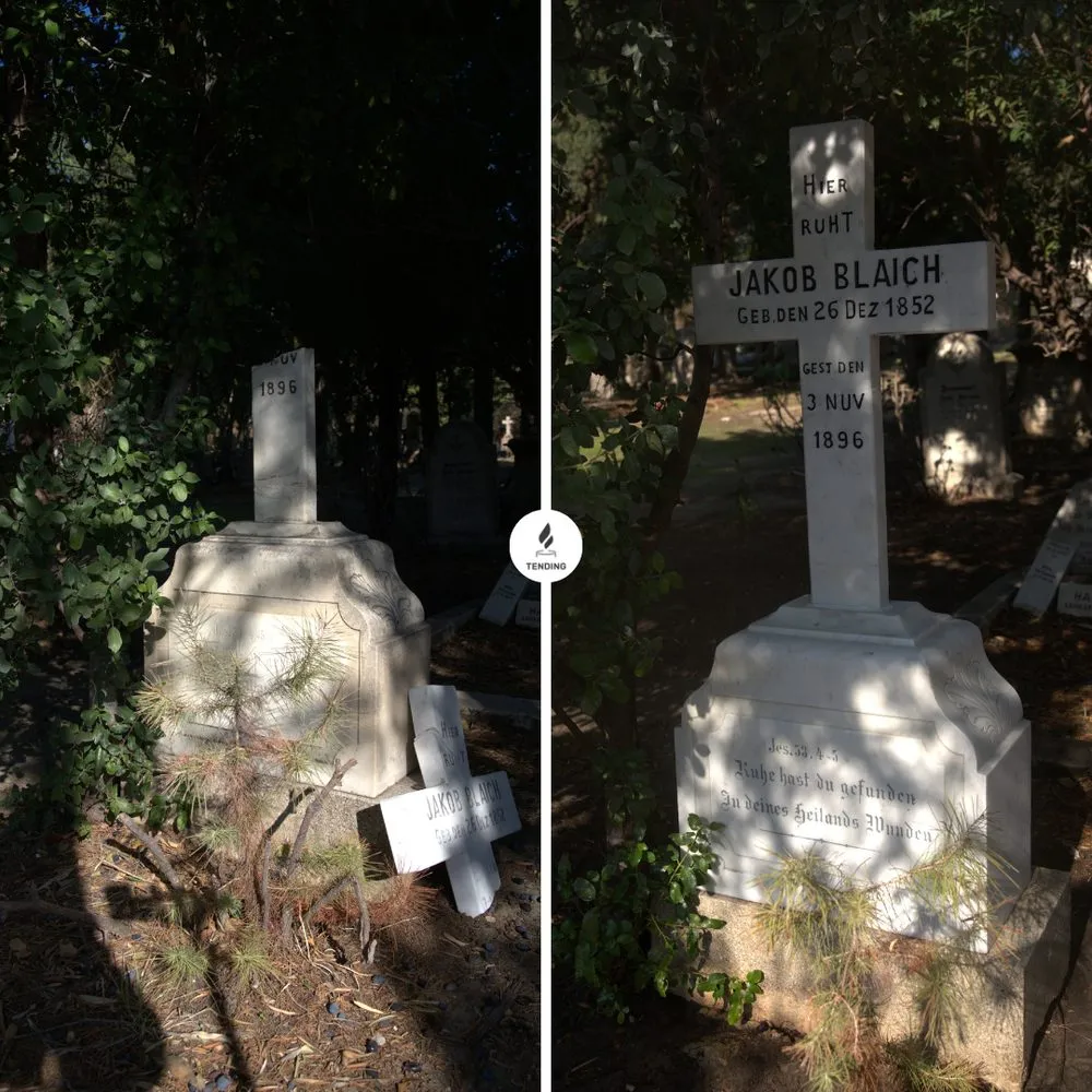 Affordable landscape design experts serving New York, NY - Tending