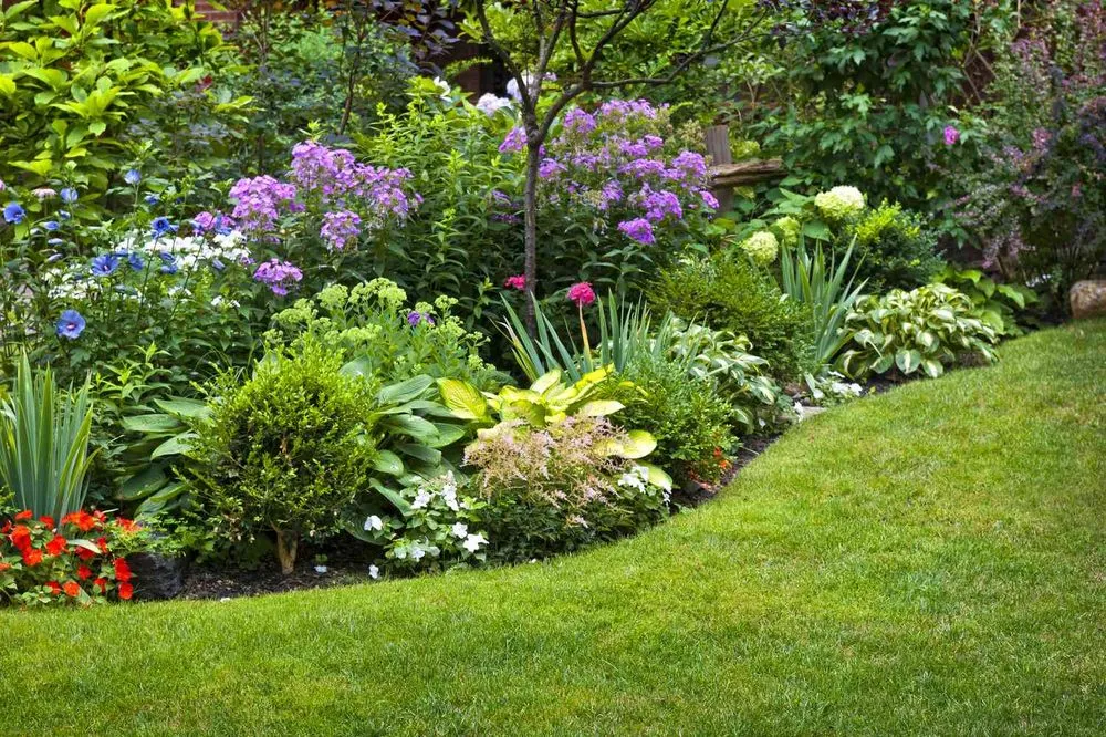 Professional lawn mowing service for beautiful yards across Baltimore, MD - Tenezaca Landscaping