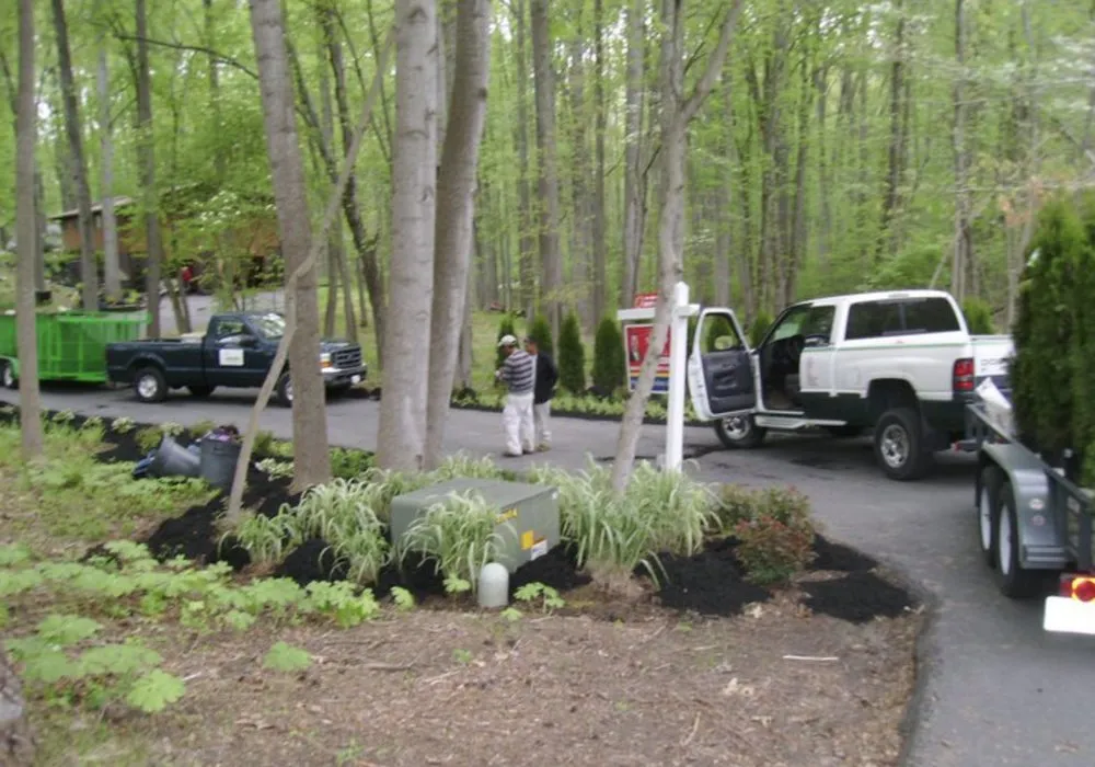 Professional landscaping services in Baltimore, MD - Tenezaca Landscaping