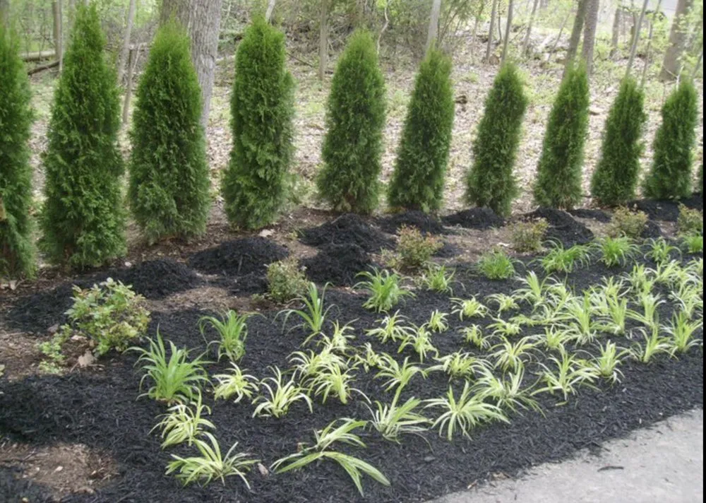 Trusted garden landscaping for beautiful yards in Baltimore, MD by Tenezaca Landscaping