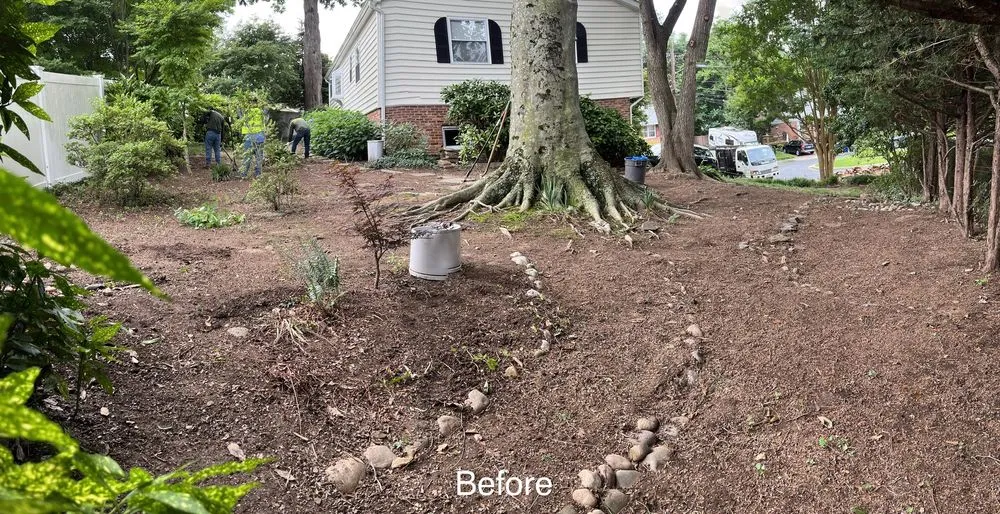 Professional lawn mowing service for residential properties in Washington DC, DC by Tenleytown Lawn & Landscape