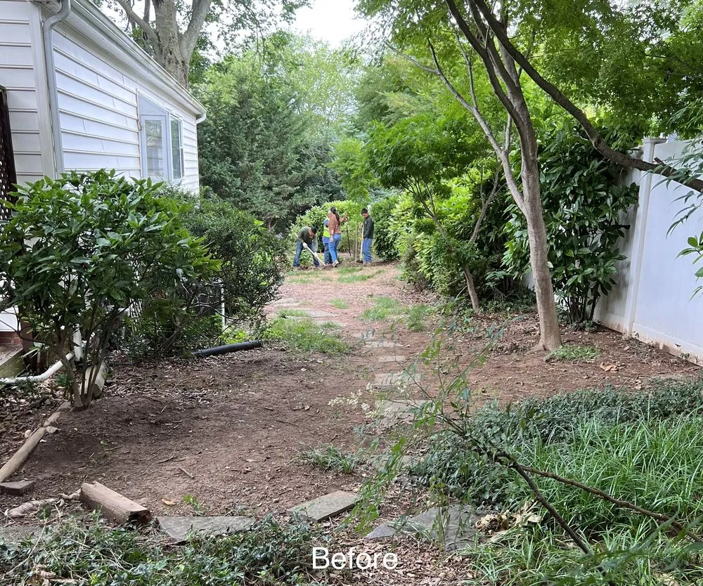 Reliable yard cleanup service experts serving Washington DC, DC - Tenleytown Lawn & Landscape