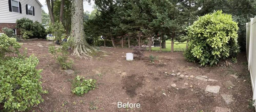 Custom residential landscaping in Washington DC, DC by Tenleytown Lawn & Landscape