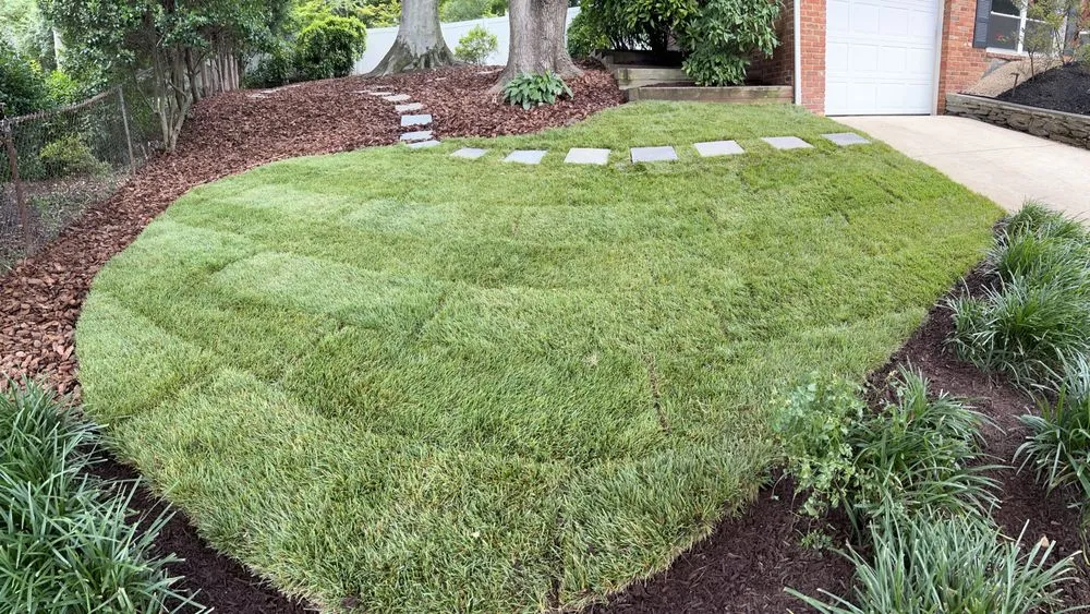 Professional lawn care service for year-round maintenance in Washington DC, DC by Tenleytown Lawn & Landscape