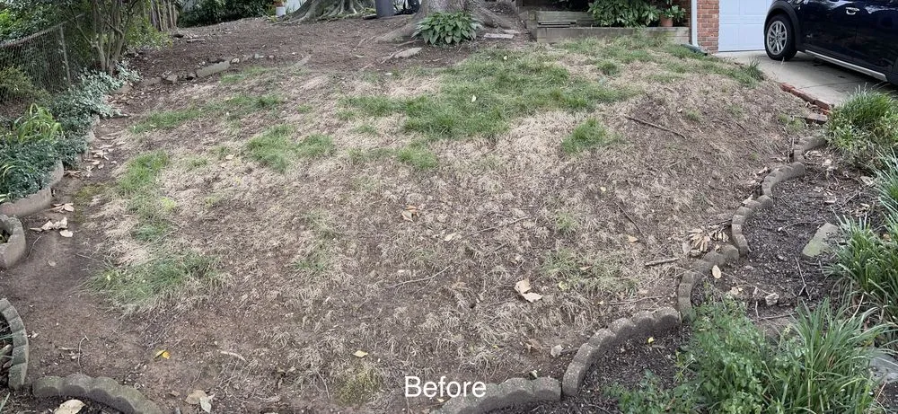 Trusted yard cleanup service in Washington DC, DC by Tenleytown Lawn & Landscape