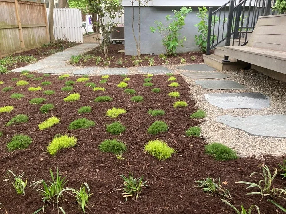 Local yard maintenance in Washington DC, DC - Tenleytown Lawn & Landscape