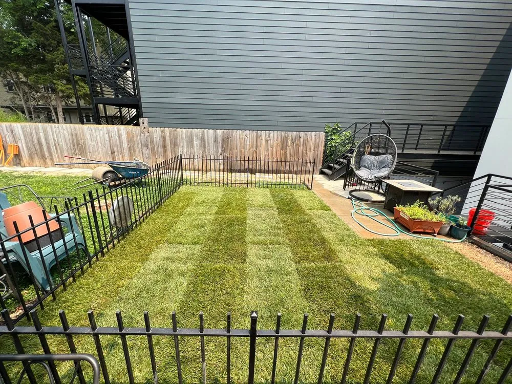 Top-rated landscape installation for beautiful yards in Washington DC, DC by Tenleytown Lawn & Landscape