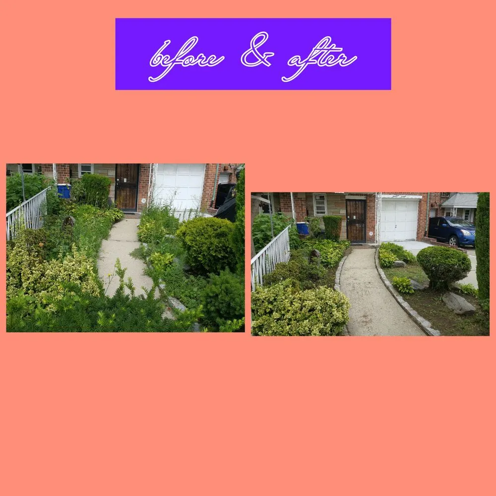 Expert landscape design for year-round maintenance in Queens, NY by Tennant Lawn Care