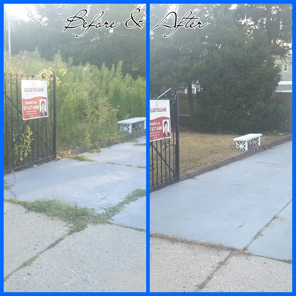 Reliable landscaping services with custom design across Queens, NY - Tennant Lawn Care