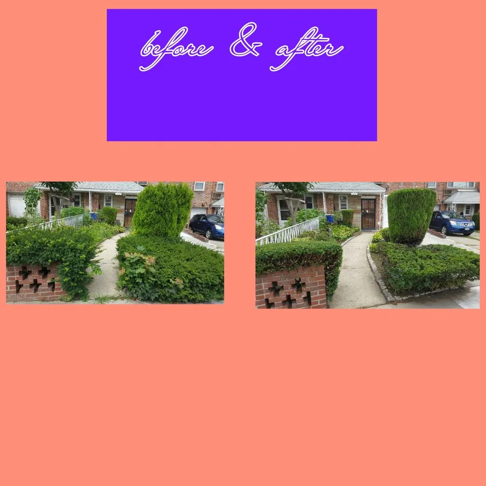 Trusted landscape design experts serving Queens, NY - Tennant Lawn Care